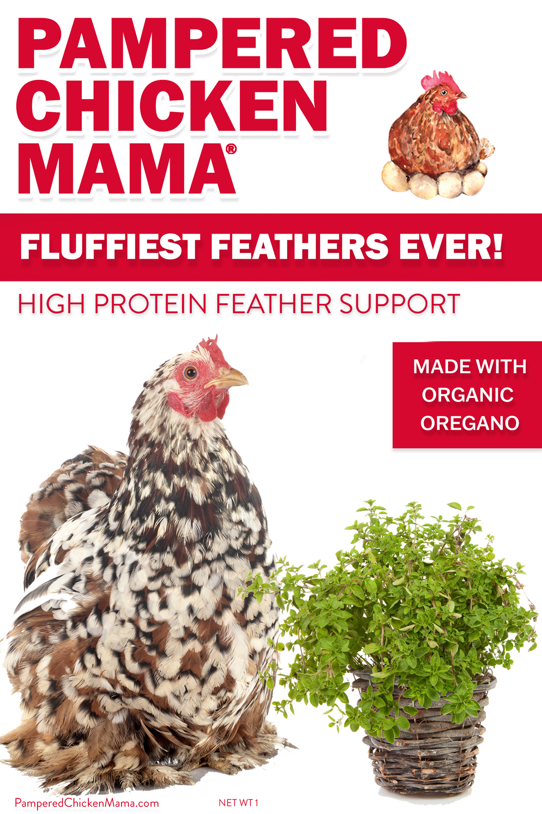 High Protein Chicken Feed Supplement - Non-GMO Molting Support