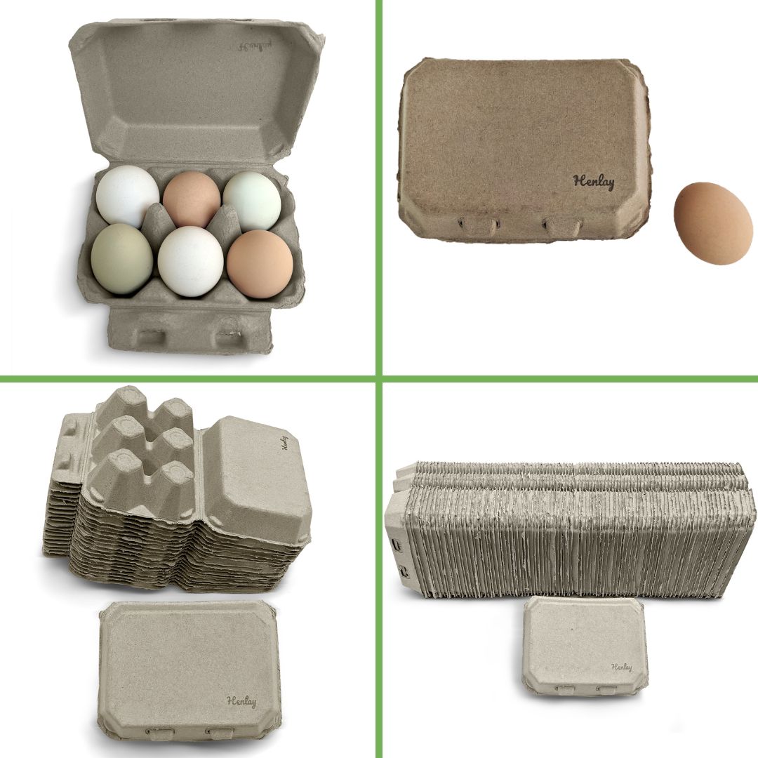 White and tan recycled cardboard egg cartons in a 6-pack by My Pet Chicken