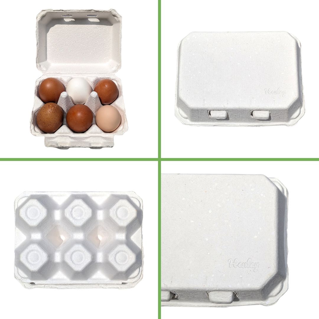 White and tan recycled cardboard egg cartons, 6-pack, by My Pet Chicken, designed for backyard chicken supplies.