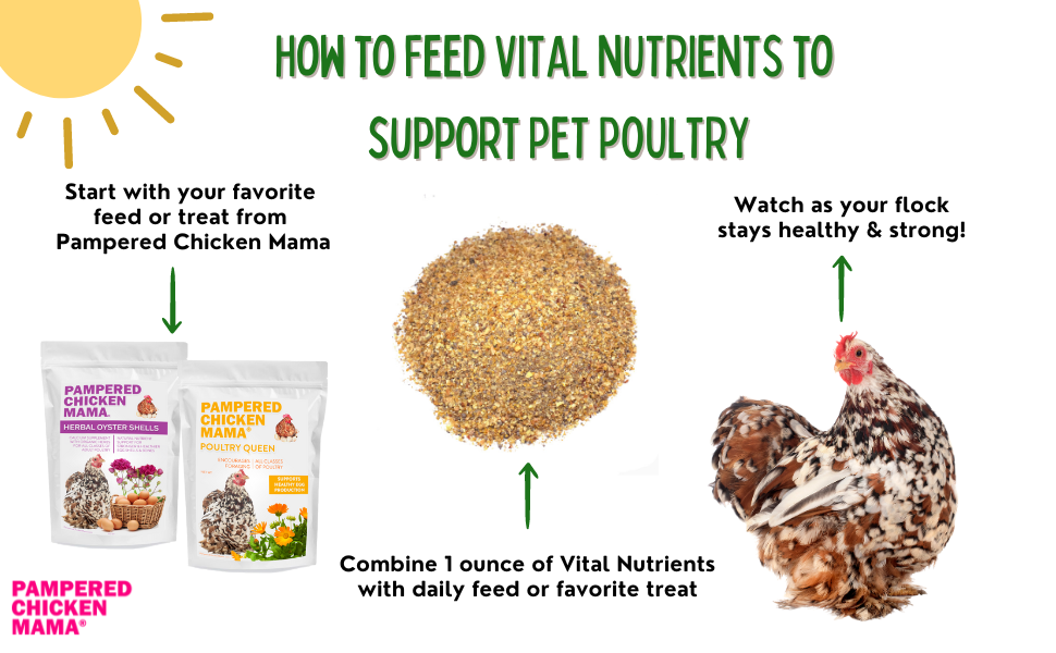 Vital Nutrients chicken and duck supplement blend with natural ingredients, suitable for adult poultry wellness.
