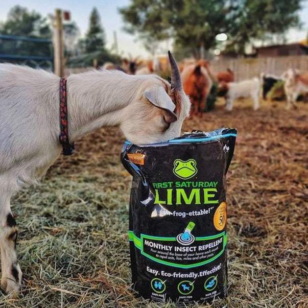 Repelente de insectos First Saturday Lime: control de plagas ecológico para el hogar y el gallinero