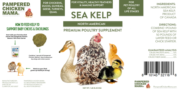 North Atlantic kelp supplement for chickens and ducks, 1 pound, by Dahlia Pets, with nutrient-rich ingredients.