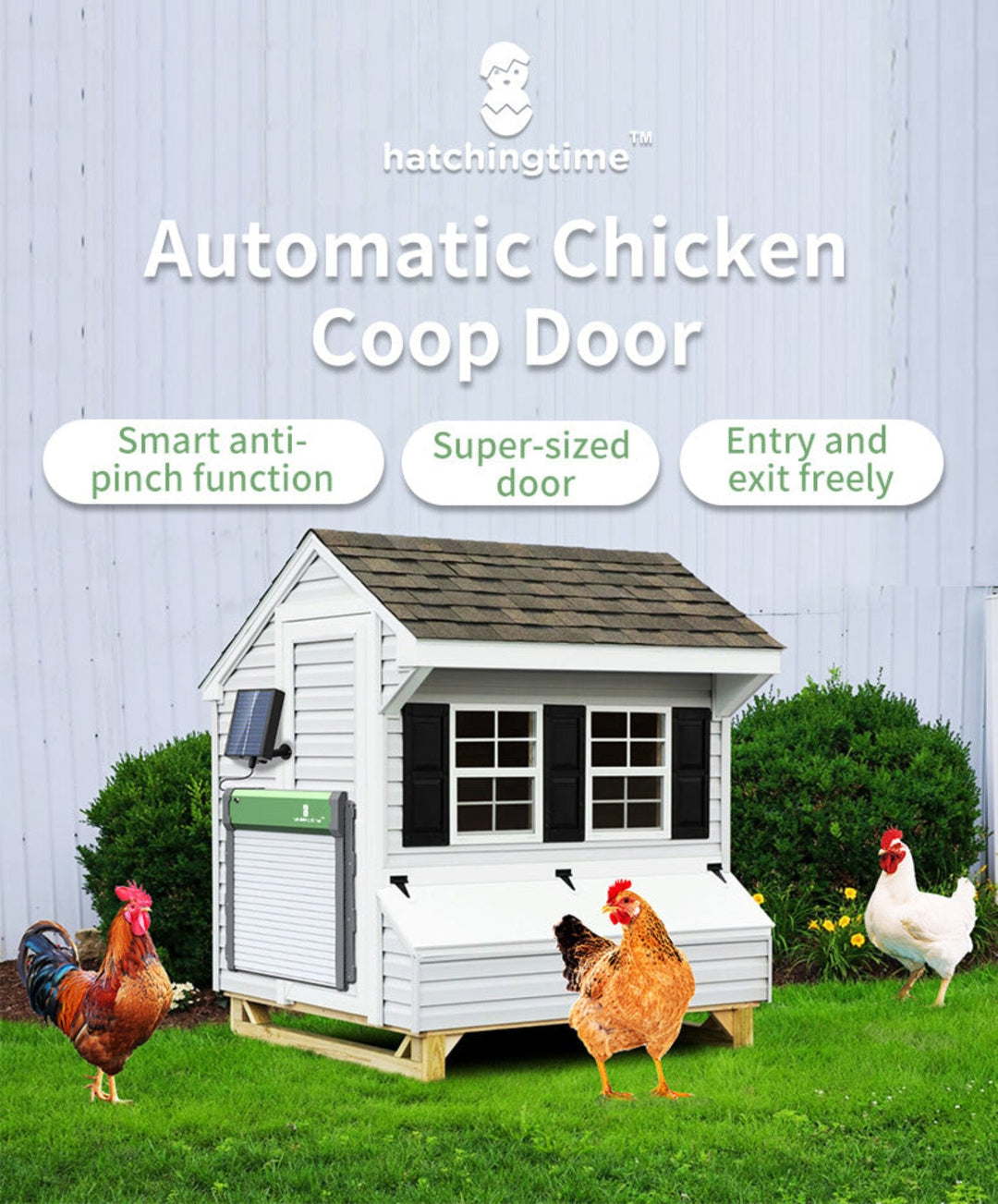 Solar Powered Automatic Chicken Coop Door with Remote