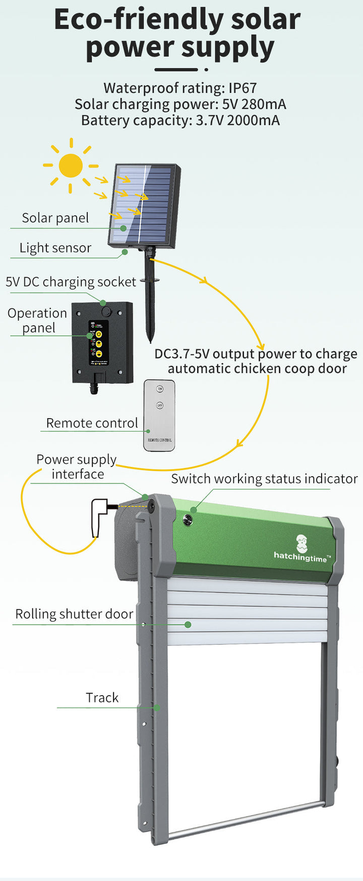 Solar Powered Automatic Chicken Coop Door with Remote