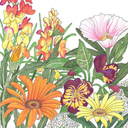 Low Growing Wildflower Mix (1/4 lb)