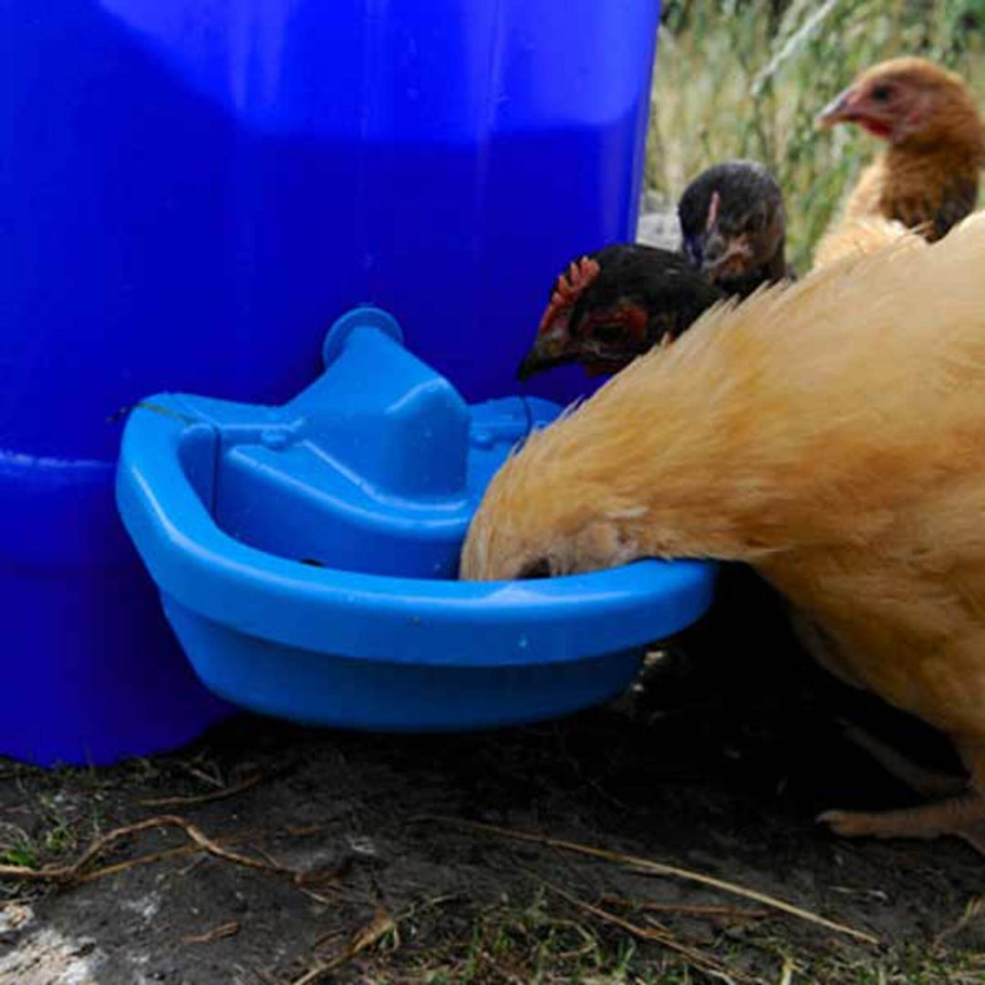 Maxicup Automatic Drinker - Poultry Waterer