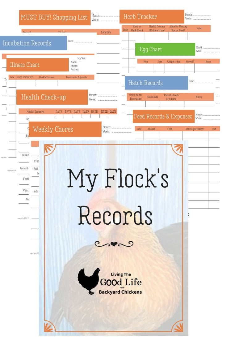 Digital PDF workbook for backyard chicken care, tracking health and expenses, by Dahlia Pets.
