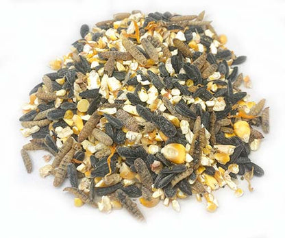 Omega Burst Chicken Treat blend featuring flax and black soldier fly larvae, ideal for backyard chickens, 4lb size.