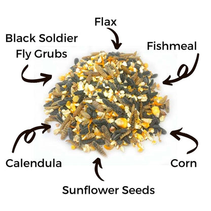 Blended chicken treat mix with black soldier fly larvae, flax, corn, sunflower seeds, and calendula from Dahlia Pets.