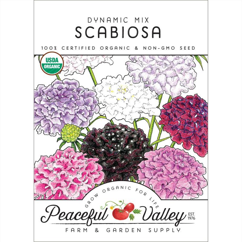 Dynamic Scabiosa Mix (Organic)