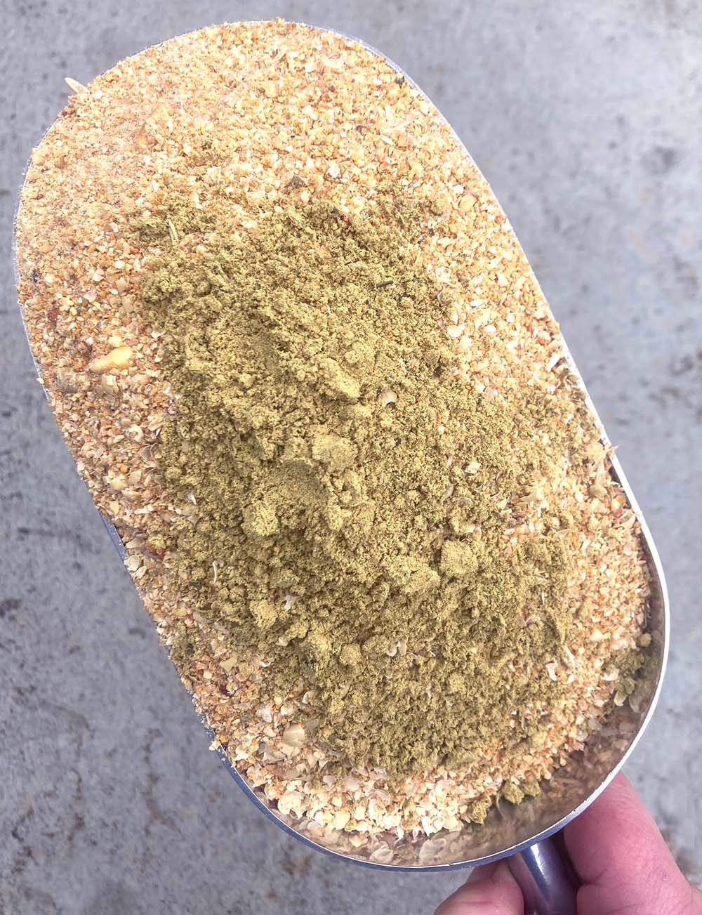 Organic Pumpkin Seed Delight - Chicken Feed Supplement 2lb Jar