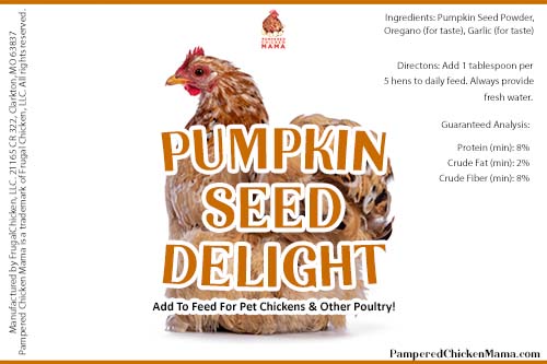 Organic Pumpkin Seed Delight - Chicken Feed Supplement 2lb Jar