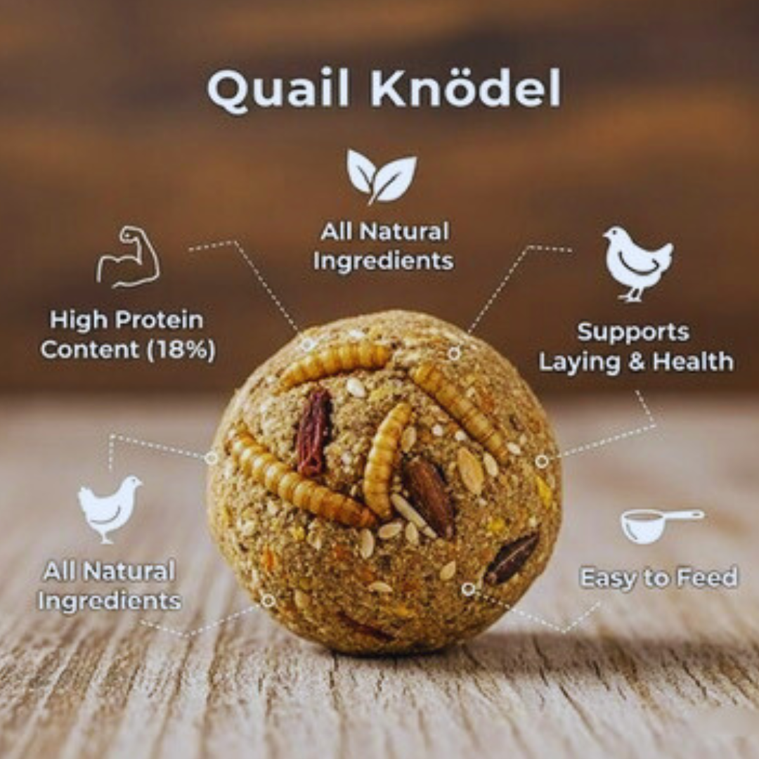 Green durable quail gamebird feed ball filled with mealworms, anti-boredom toy by Quailz.com, USA made