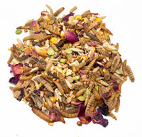 Rainbow Burst Chicken Treat mix with black soldier fly larvae, seeds, and dried flowers from Dahlia Pets.