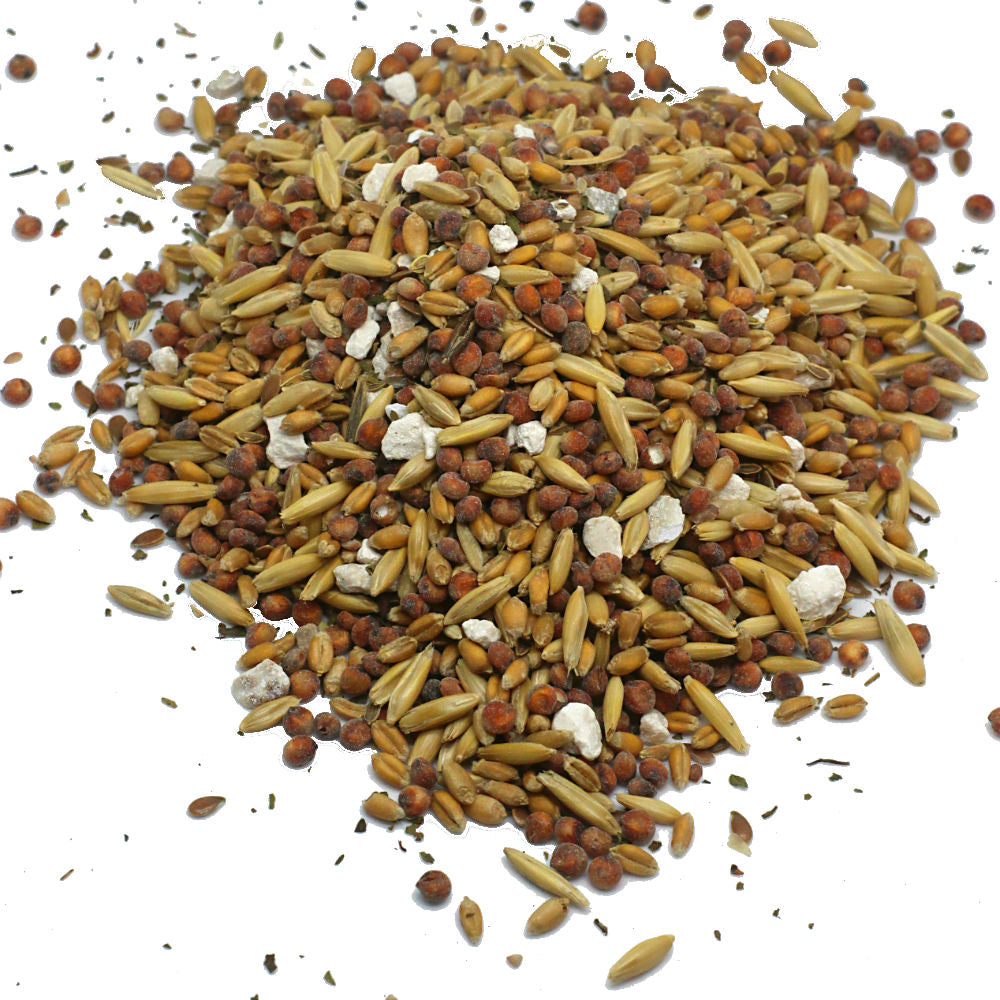 Premium Non-GMO chicken scratch with herbs, wholegrain mix in various sizes by Dahlia Pets.