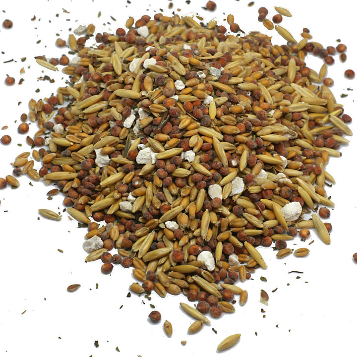 Premium Non-GMO chicken scratch with herbs, wholegrain mix in various sizes by Dahlia Pets.