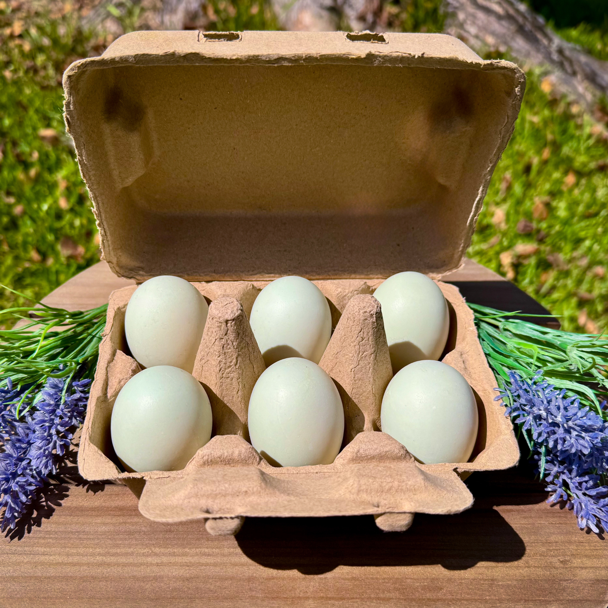 Recycled cardboard Henlay jumbo duck egg cartons, white, 6-count, sustainable packaging for egg storage.