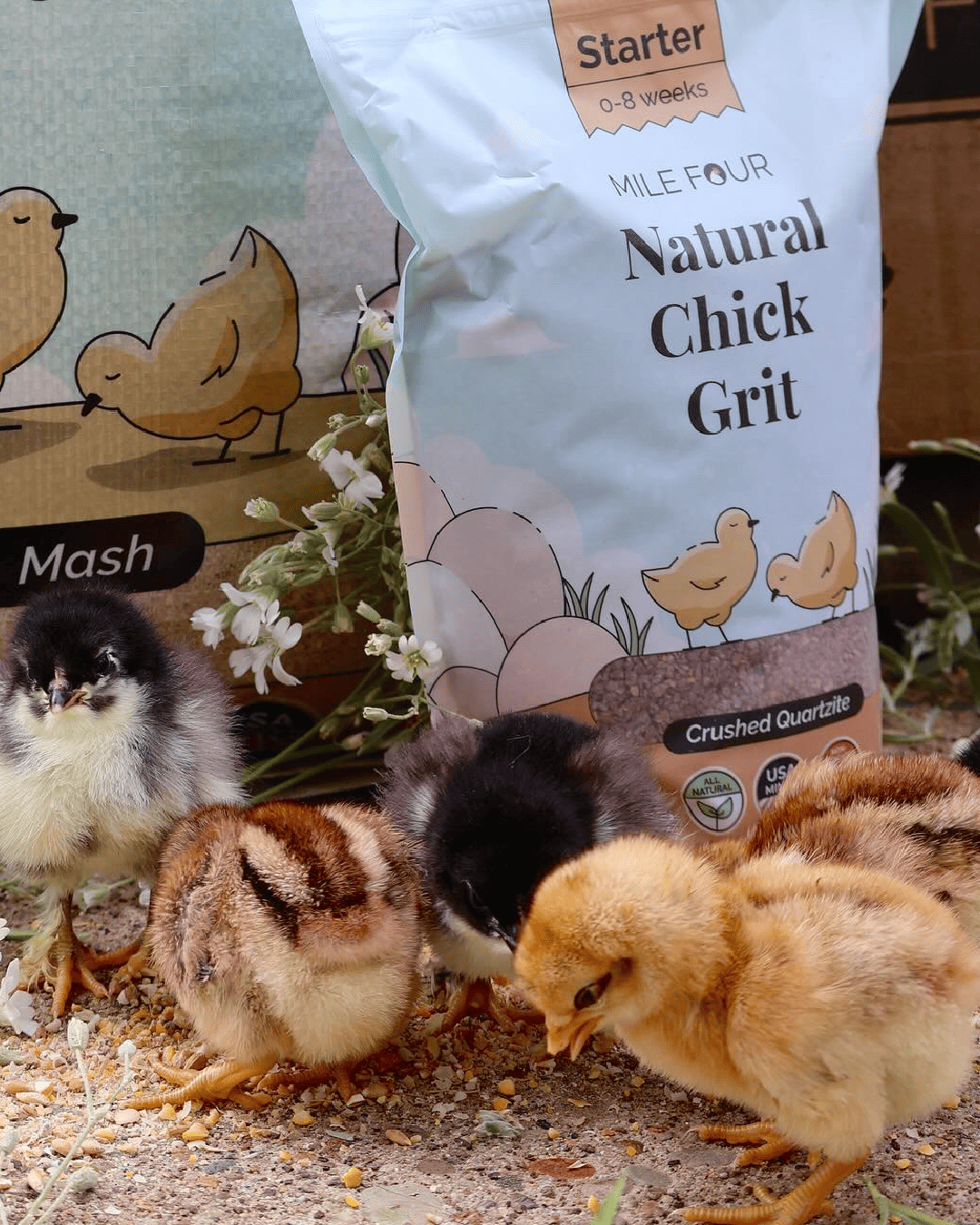 Premium Chicken Grit - Starter & Layer Poultry Digestive Aid