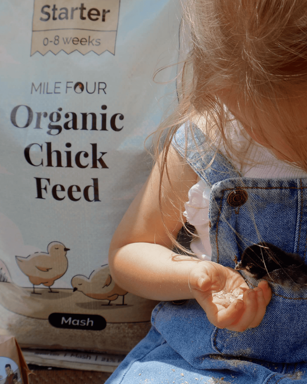FlockFit™ Premium Organic Chick Starter Bundle, 37lb kit with feed for baby chicks, featuring colorful packaging.