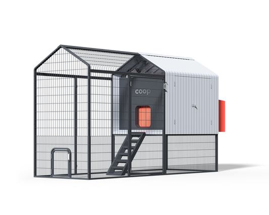 Smart Automated Chicken Coop + Steel Run - AI Cameras & App Control