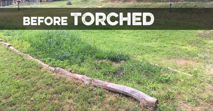 2.5-gallon bottle of Southland Organics torched all-natural weed killer for turf