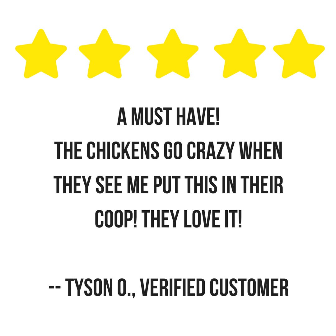 Natural Nesting Herbs for Chickens - Lavender Chamomile Calendula