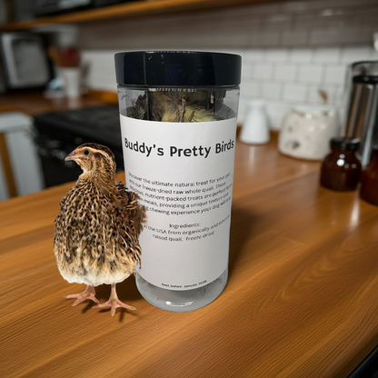 Freeze-dried whole quail dog treats in a pack of 5 by Quailz.com, ideal for bird training